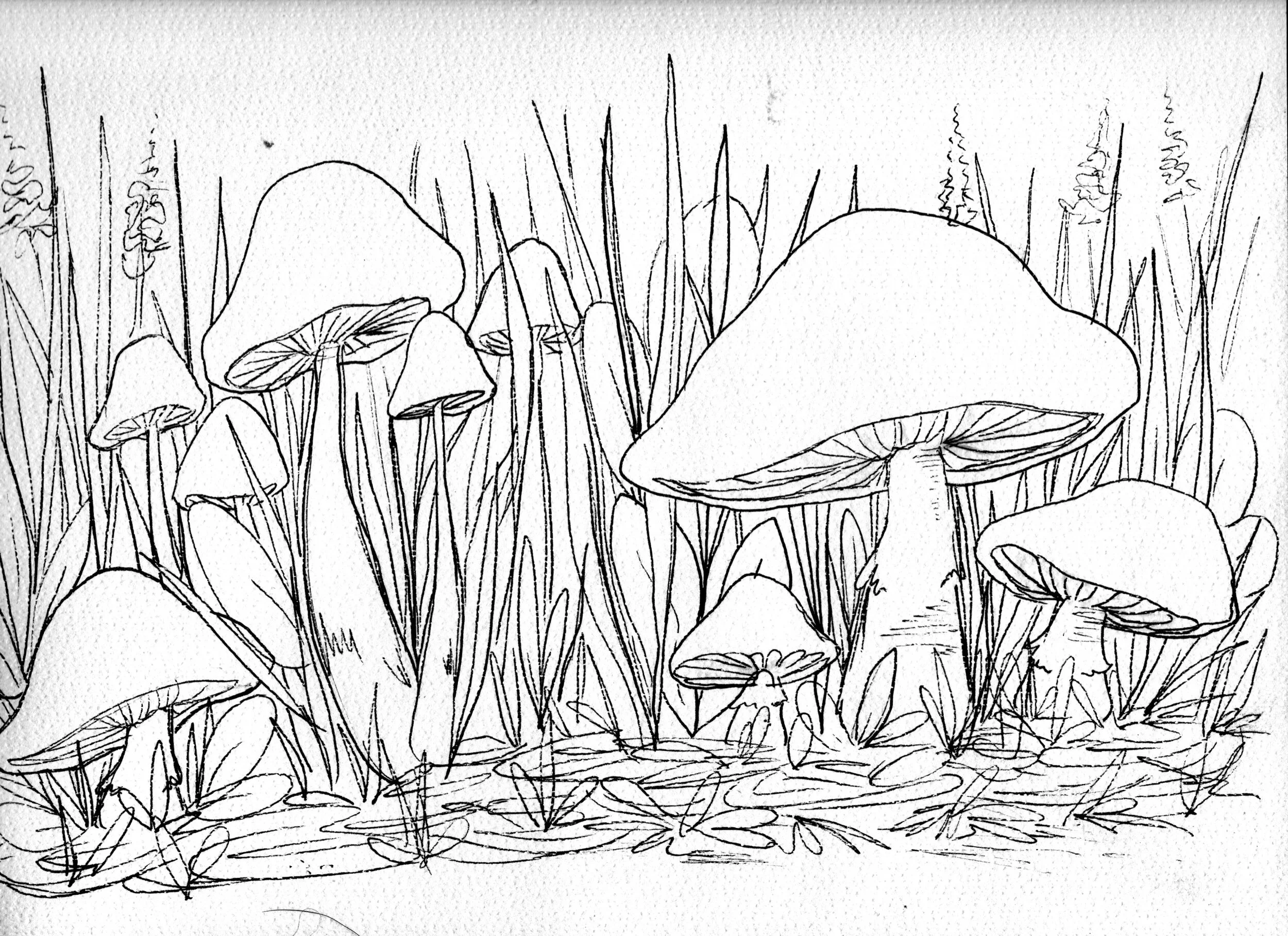 9F2AA4E8-3B77-4BA2-858E-134F3D0FD325