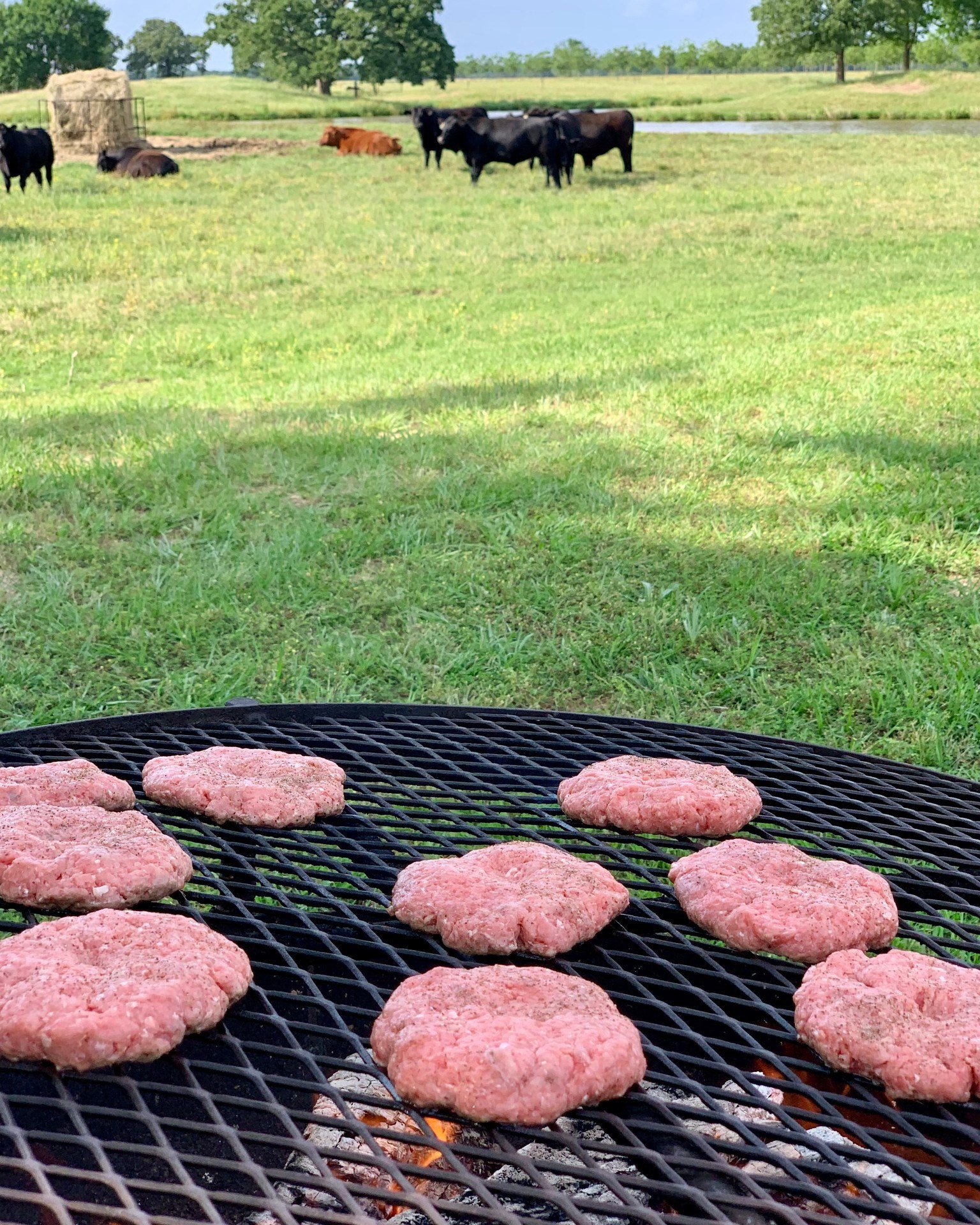 There is no better pairing than burgers and Beef Month! ๐
Needless to say, beef is a staple in our home. We are honored to raise Angus cattle that eventually provide a nourishing, delicious protein for families just like ours. If you are looking t