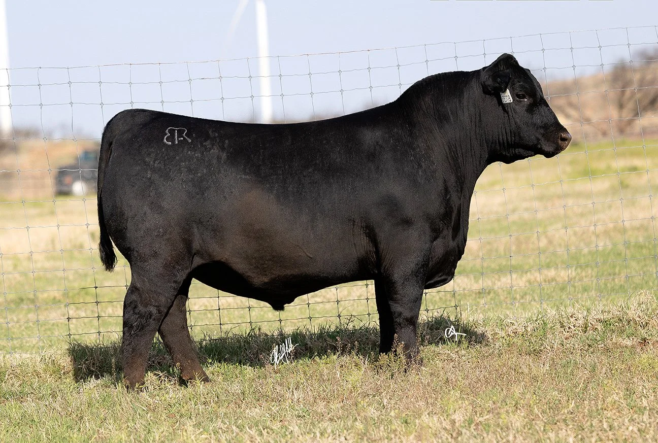 Brown JR Headliner 8735L