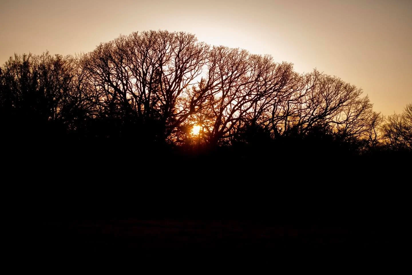 "Early on the first day of the week, while it was still dark, Mary Magdalene went to the tomb and saw that the stone had been removed from the entrance."

-John 20:1 

What a miracle to celebrate this Easter! We hope you have a joyous Sunda