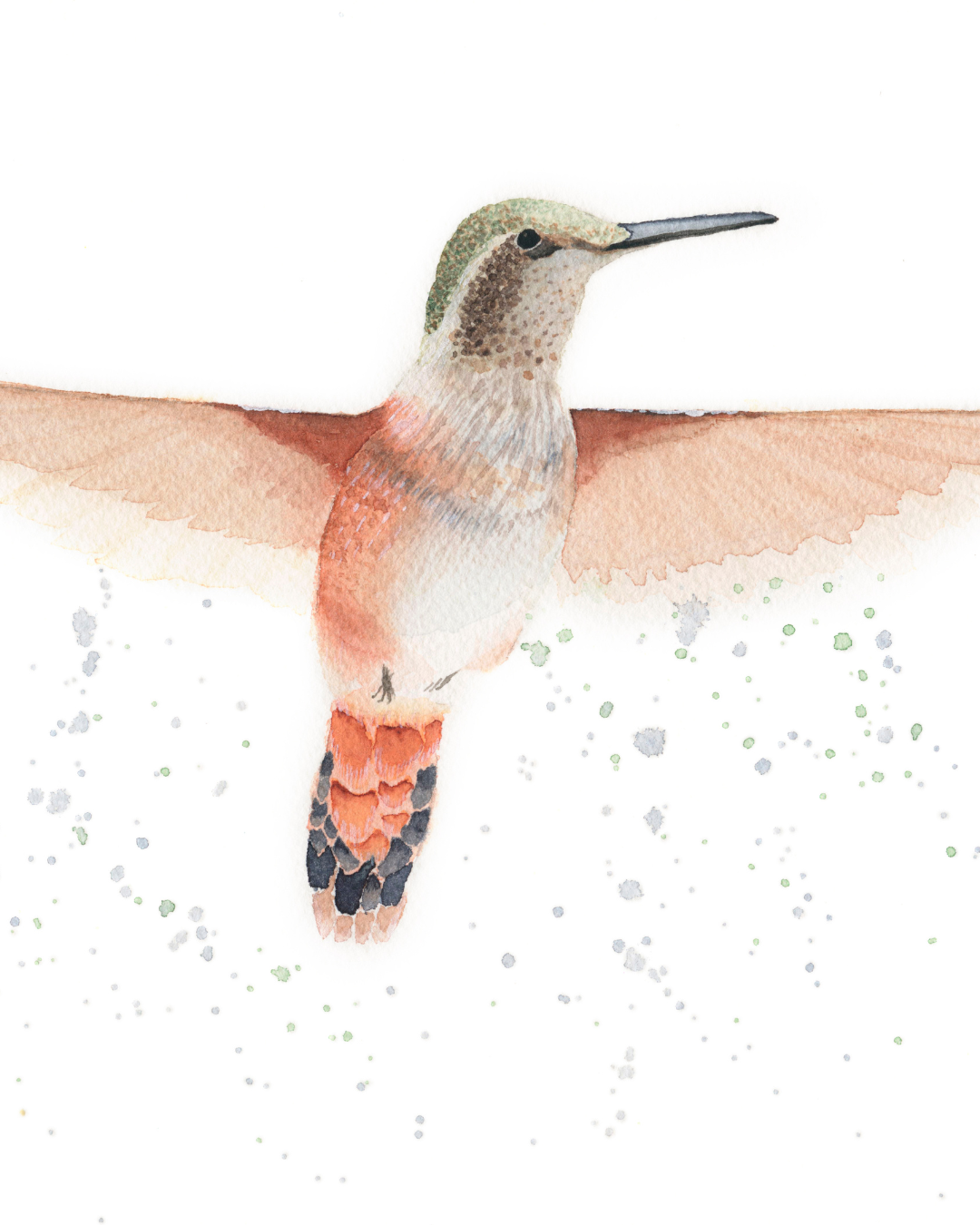 Hummingbird by Mika Sato