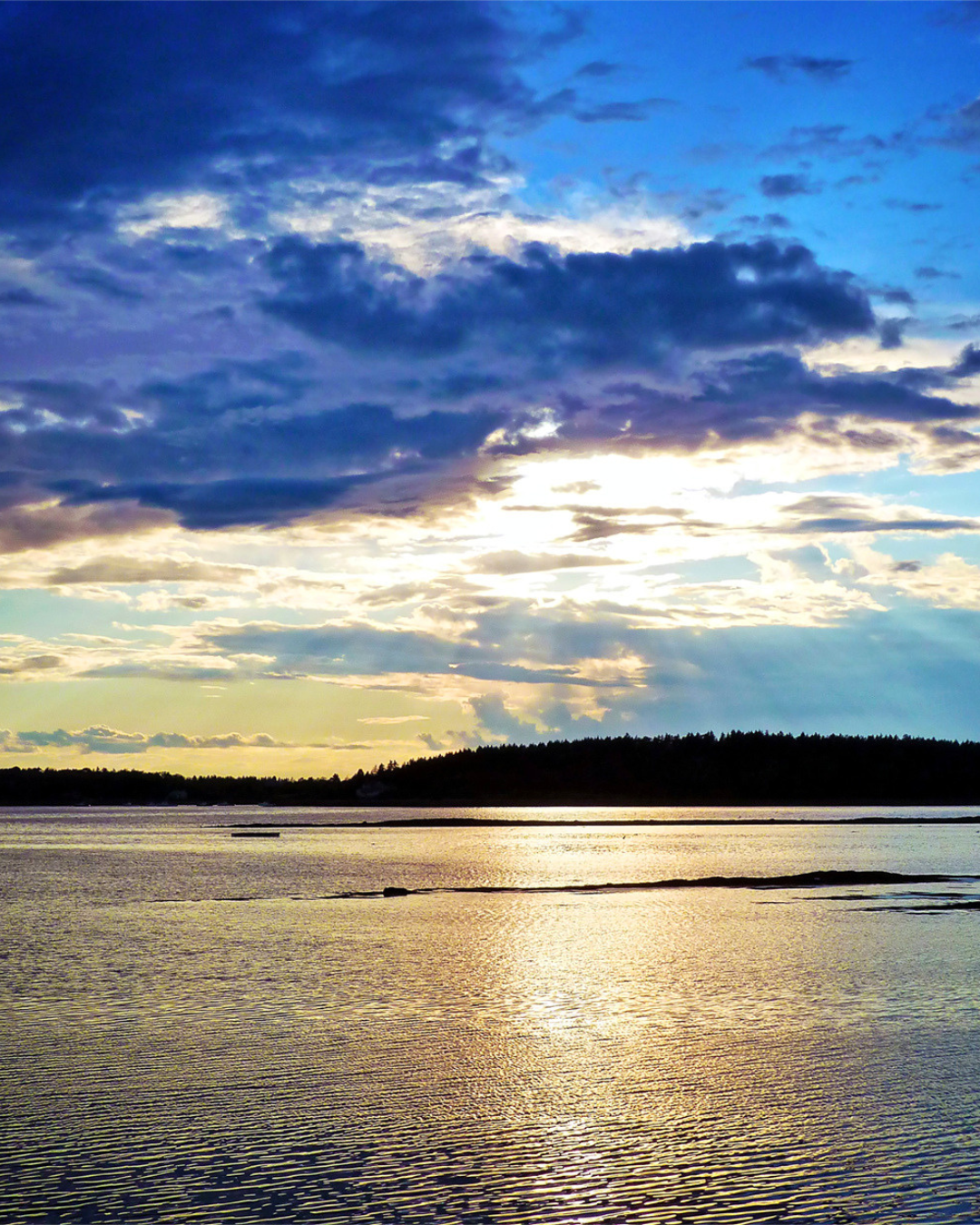 Golden Maine Sunset - Harpswell by Ann Tracy