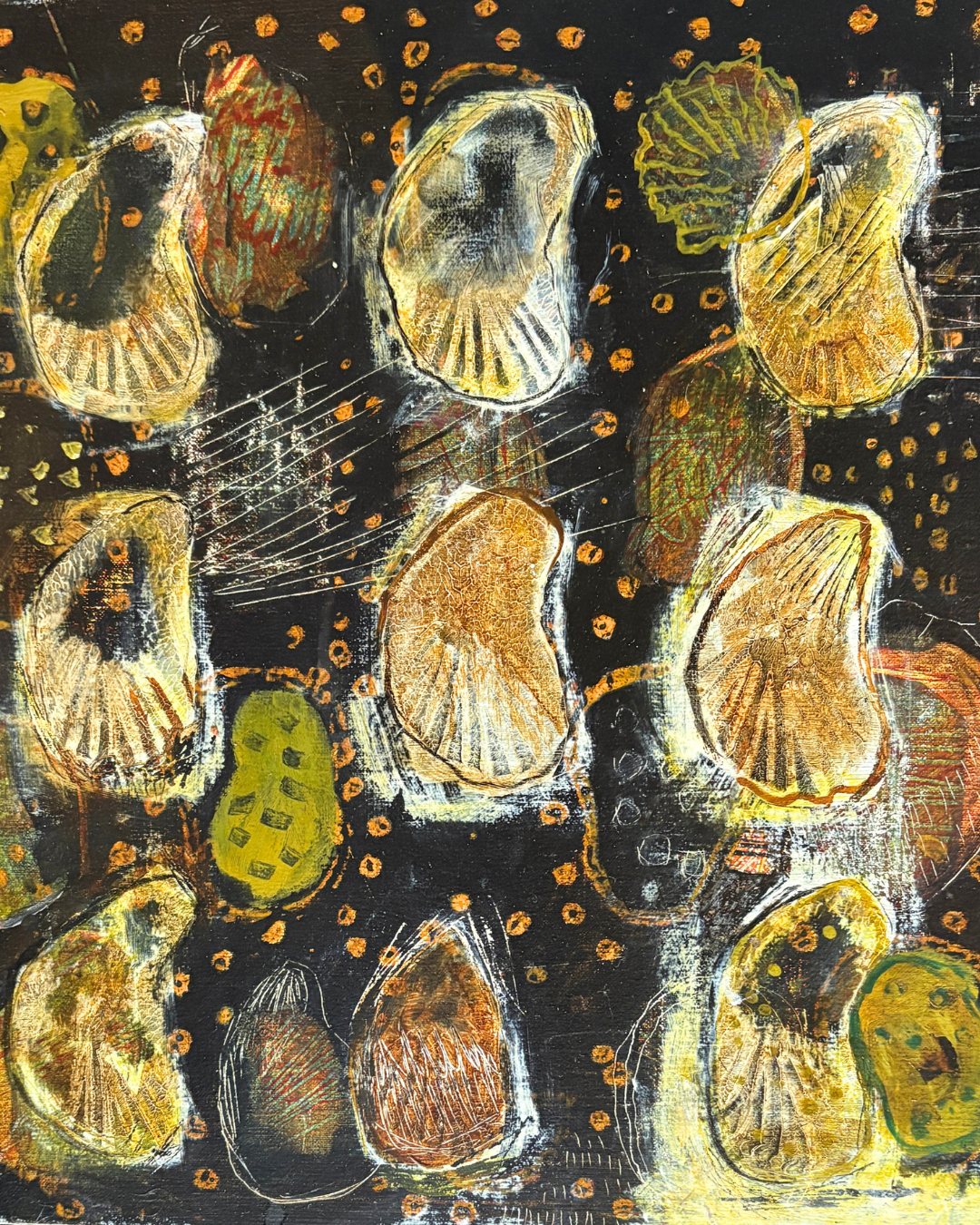 Mollusca II by Anna Dibble