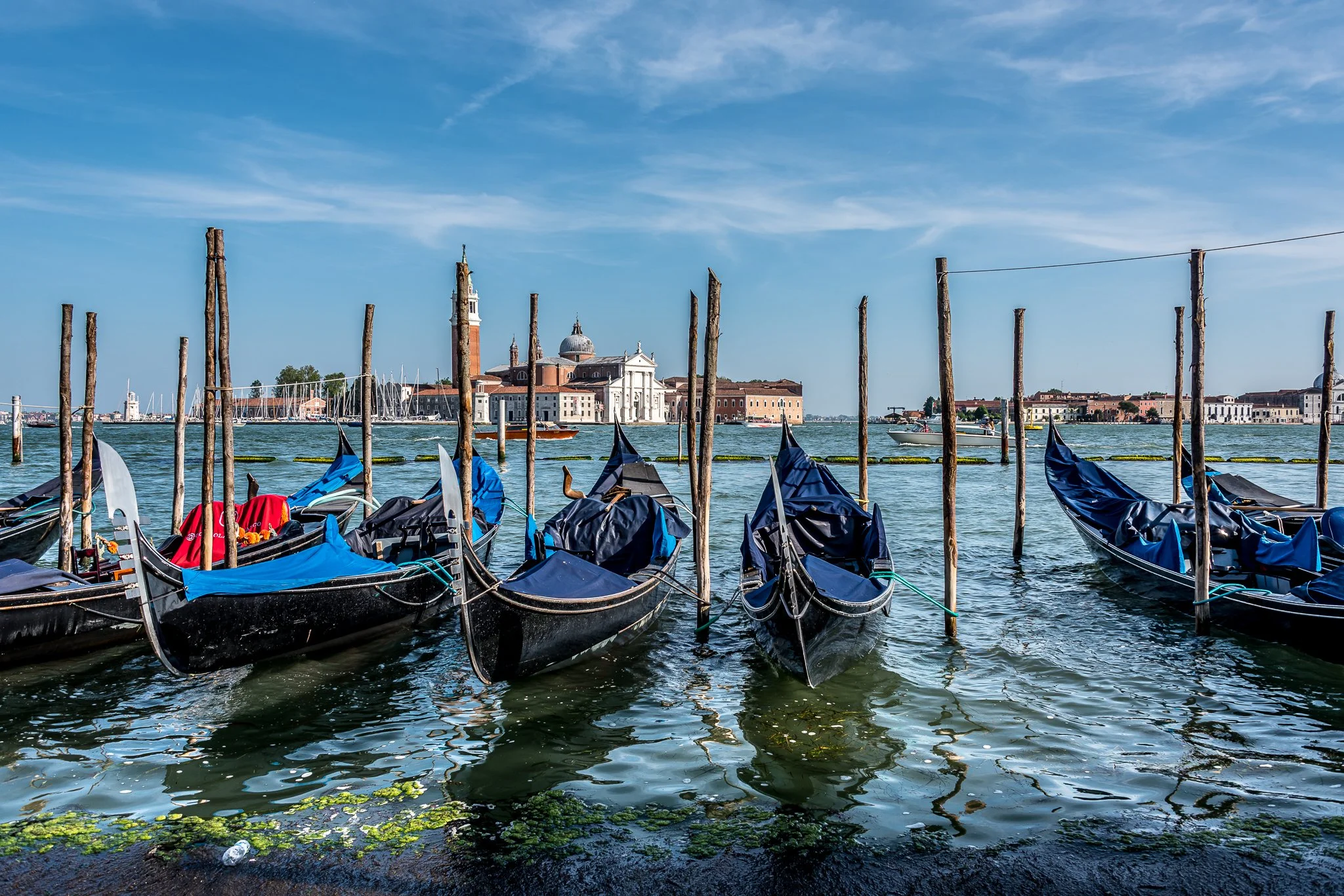 DSC_4006.jpg
