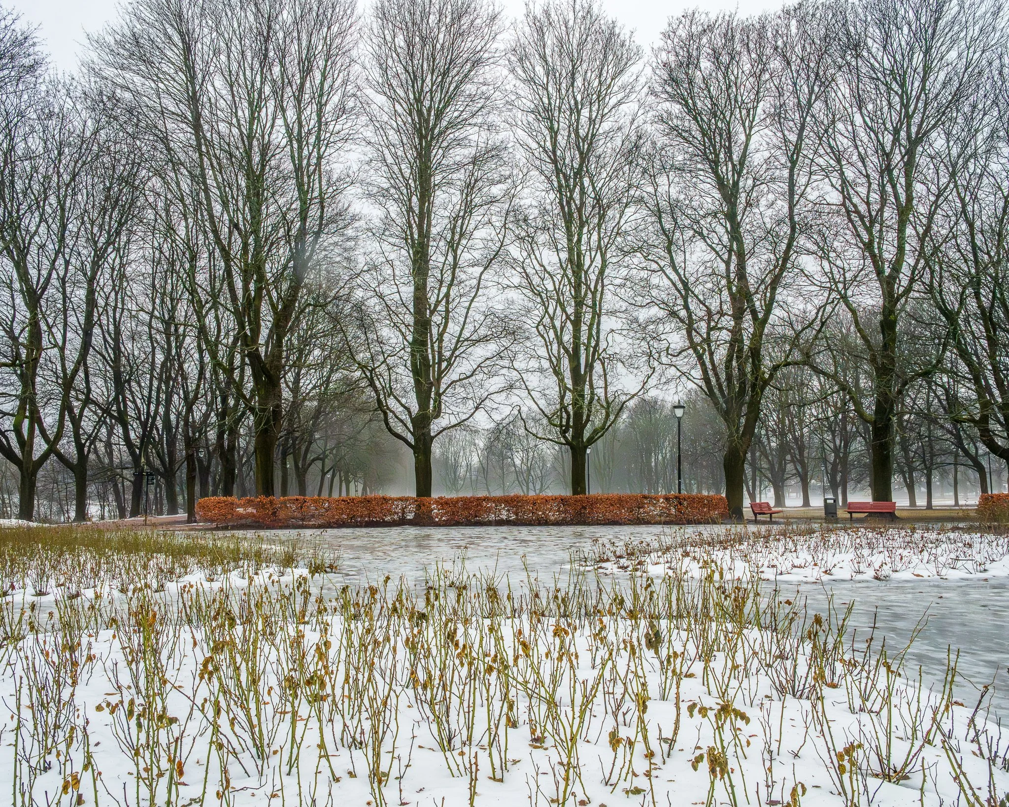 DSC_3070.jpg