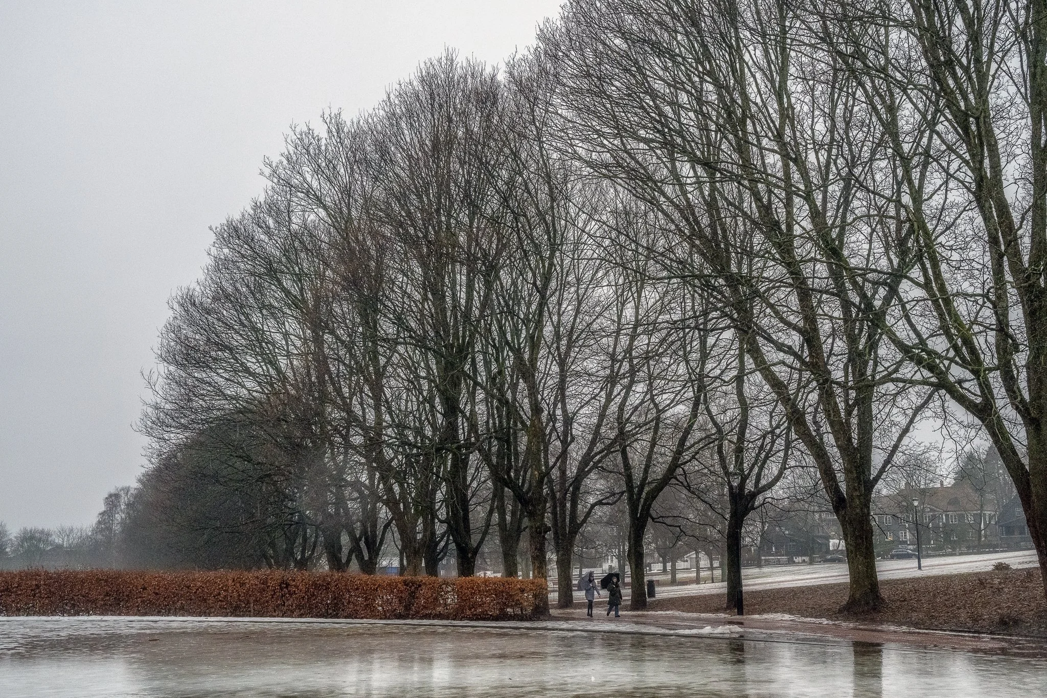 DSC_3052-Edit.jpg