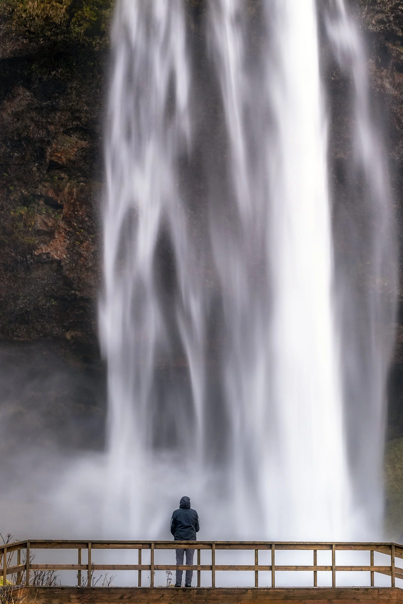 _DSC8576-Edit.jpg