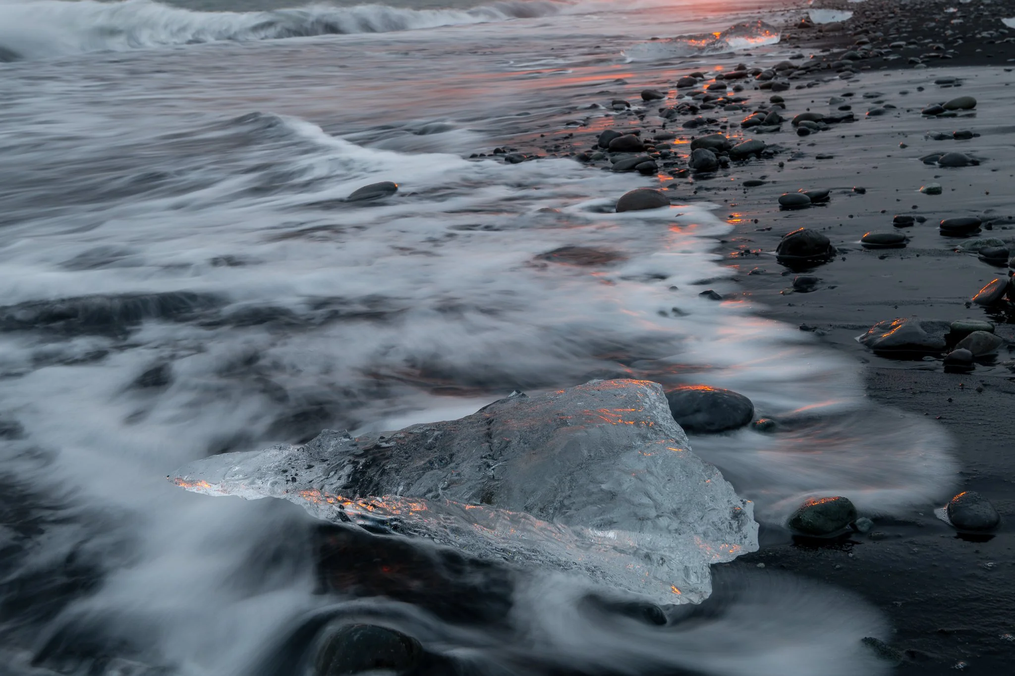 DSC_7952.jpg