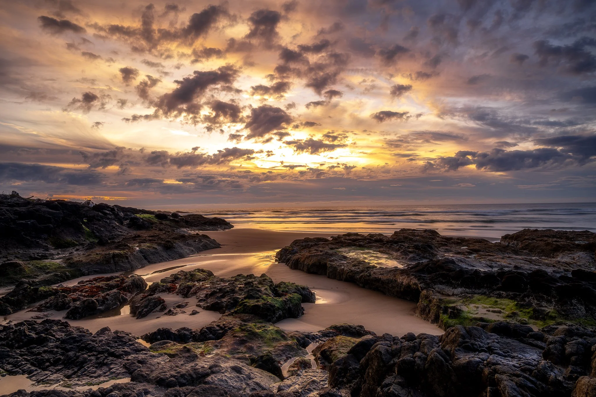 DSC_2225-Edit.jpg