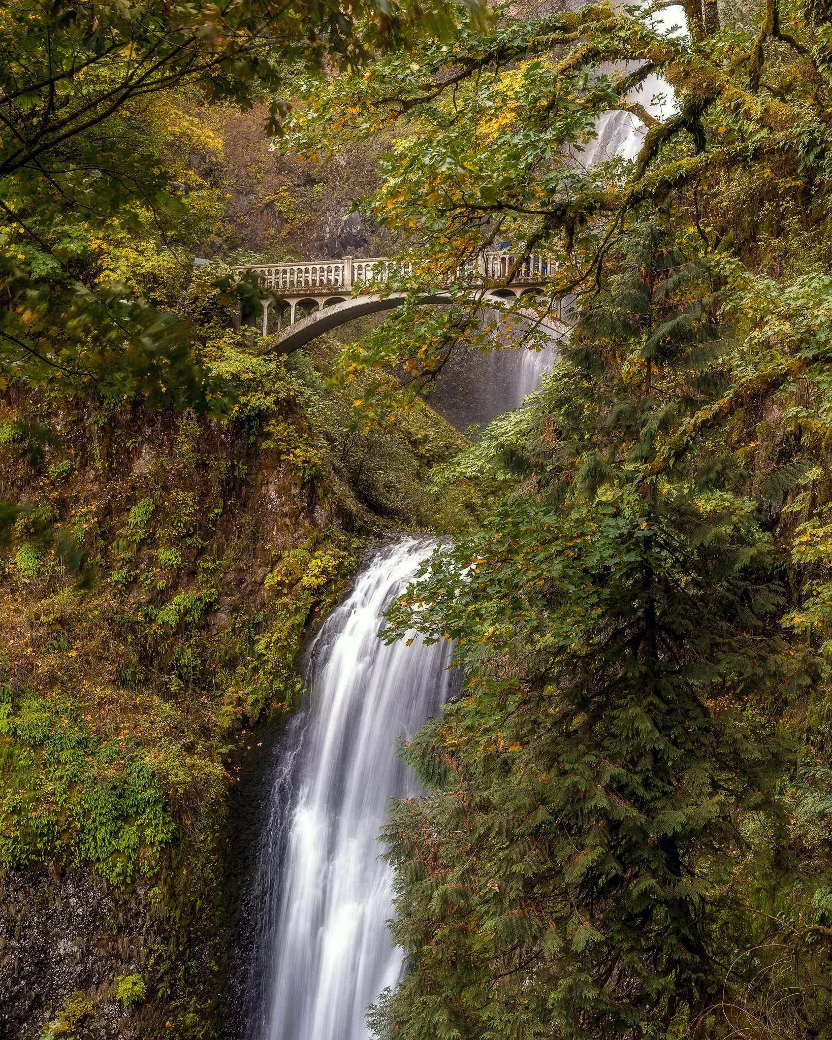 _DSC2987-Edit.jpg