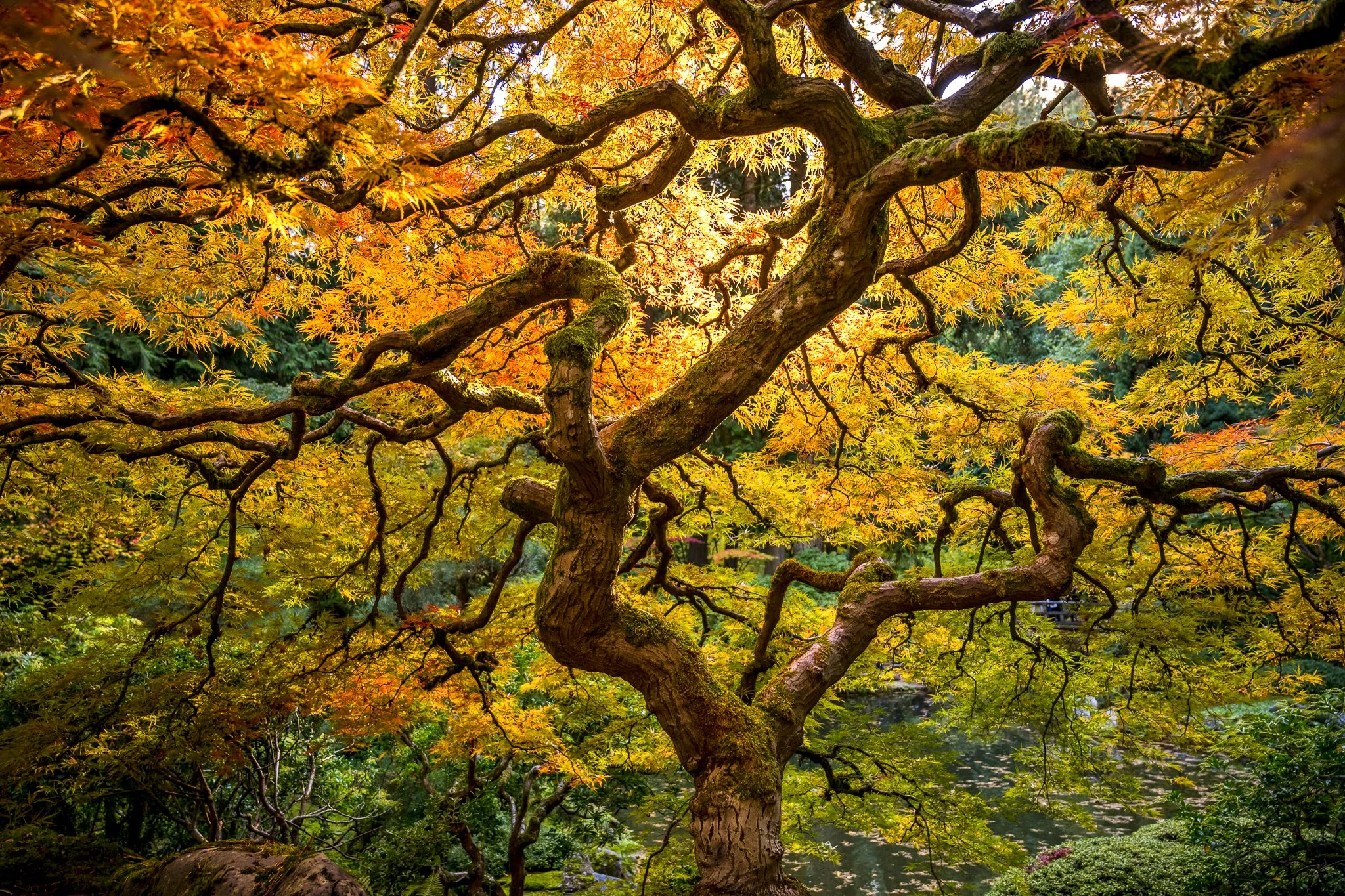 DSC_2180-Edit.jpg