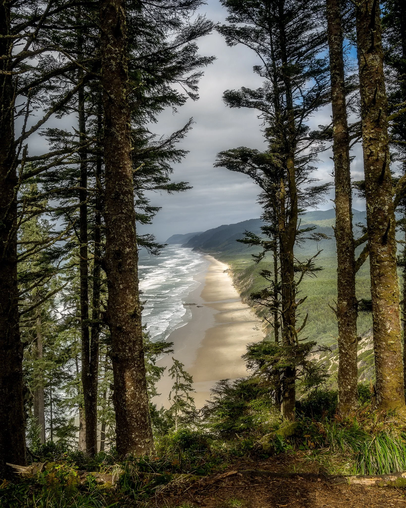 DSC_2045-Edit.jpg