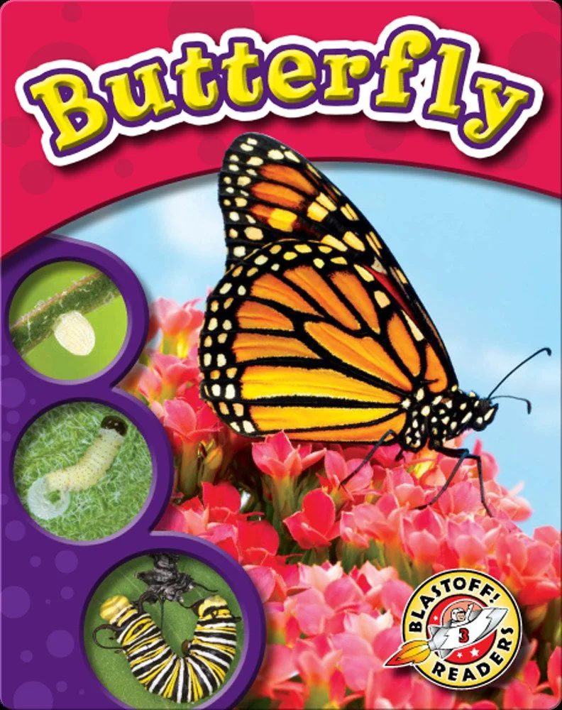Book recommendations and lesson ideas for the life cycle of a butterfly ...
