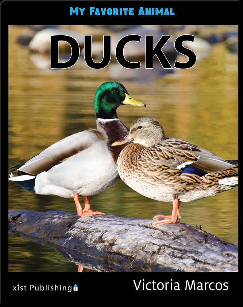 Duck life cycle book recommendations and lesson ideas. — Books