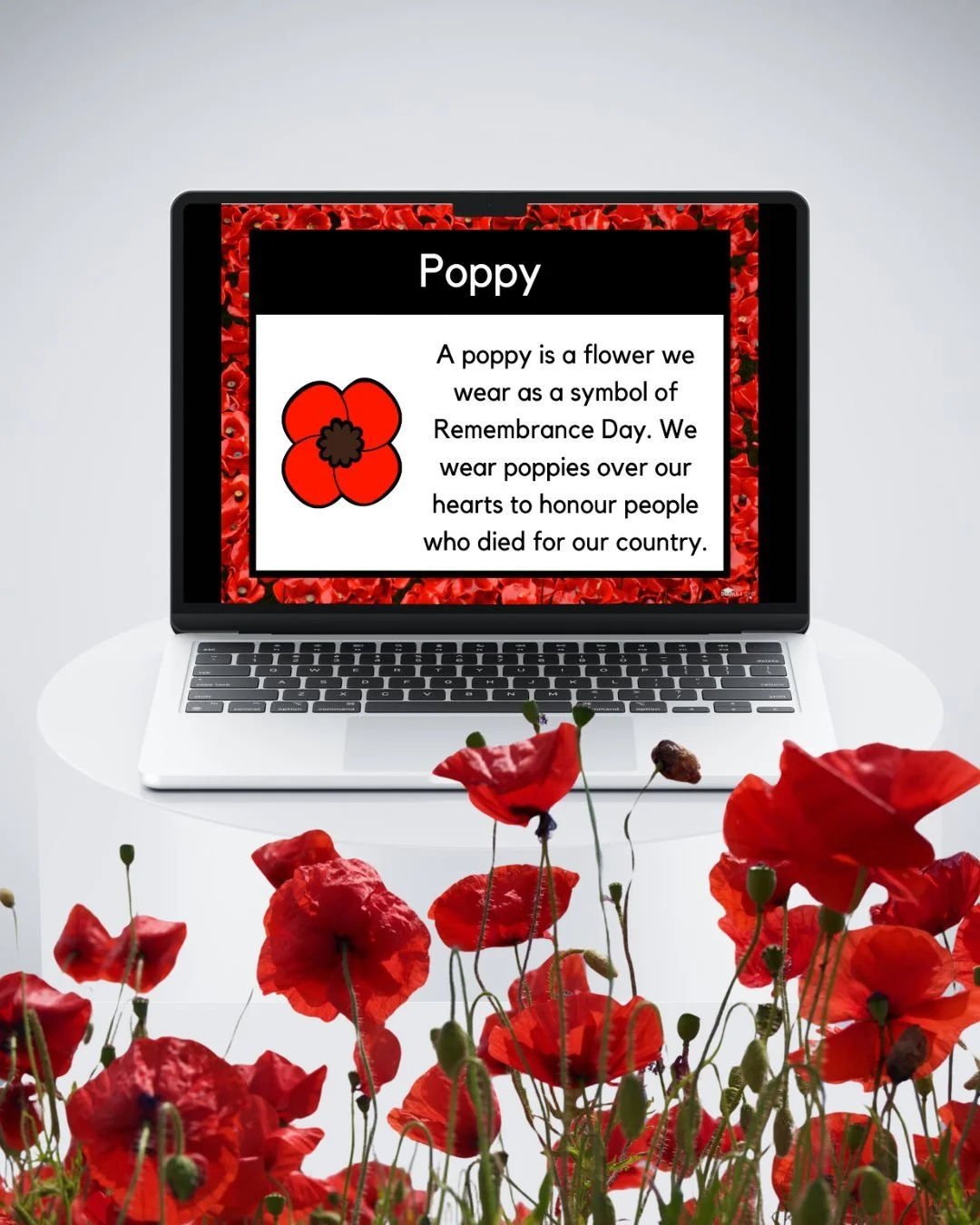 Remembrance Day for little learners 🍁⬇️🍁⬇️🍁⬇️🍁

It's hard to find Remembrance Day resources for young learners. So, I created a variety of resources for students to learn about the symbols and the meaning behind Remembrance Day.

🍁 Lesson Slides