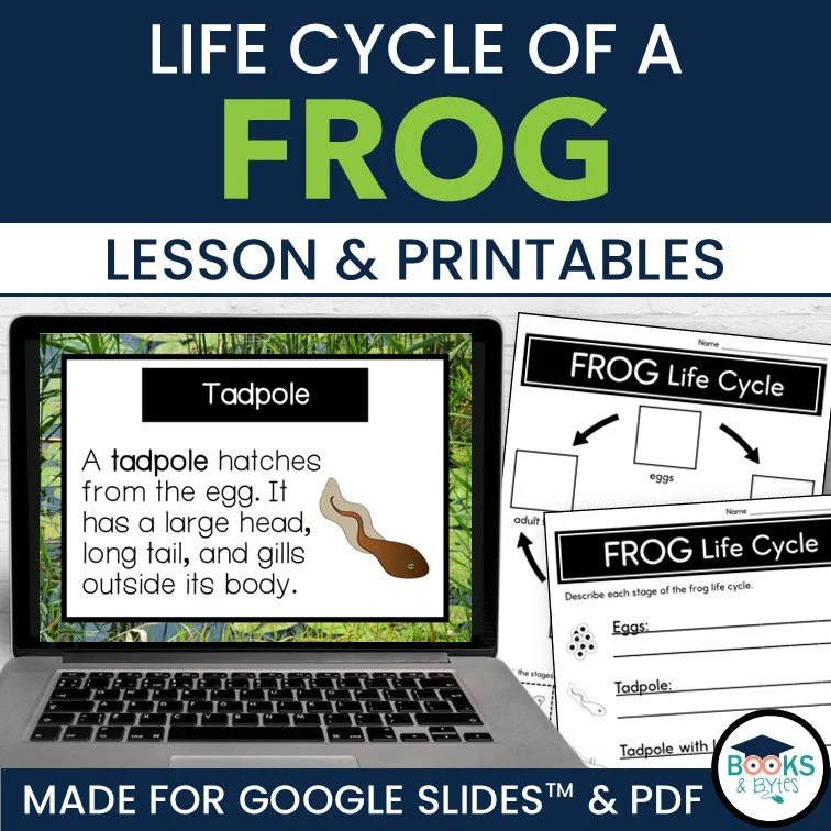 frog life cycle slideshow and printable cover.jpg
