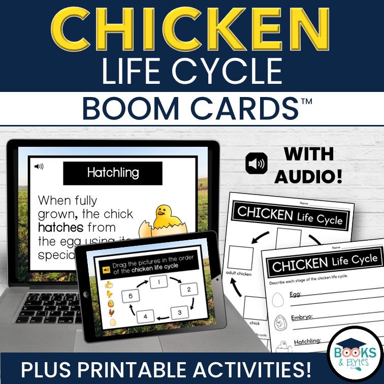 Duck Life Cycle  Life cycles, Life, Vocabulary cards