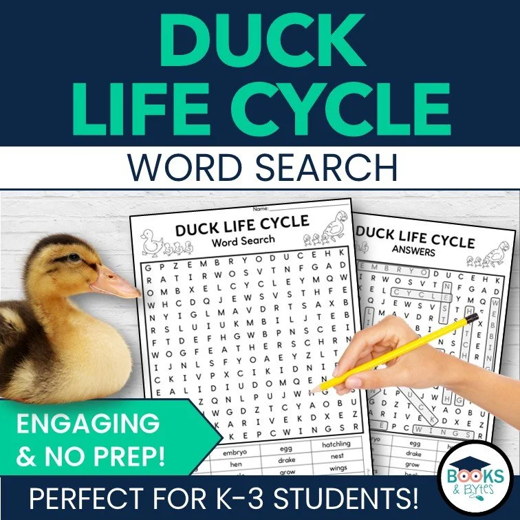 duck life cycle word search