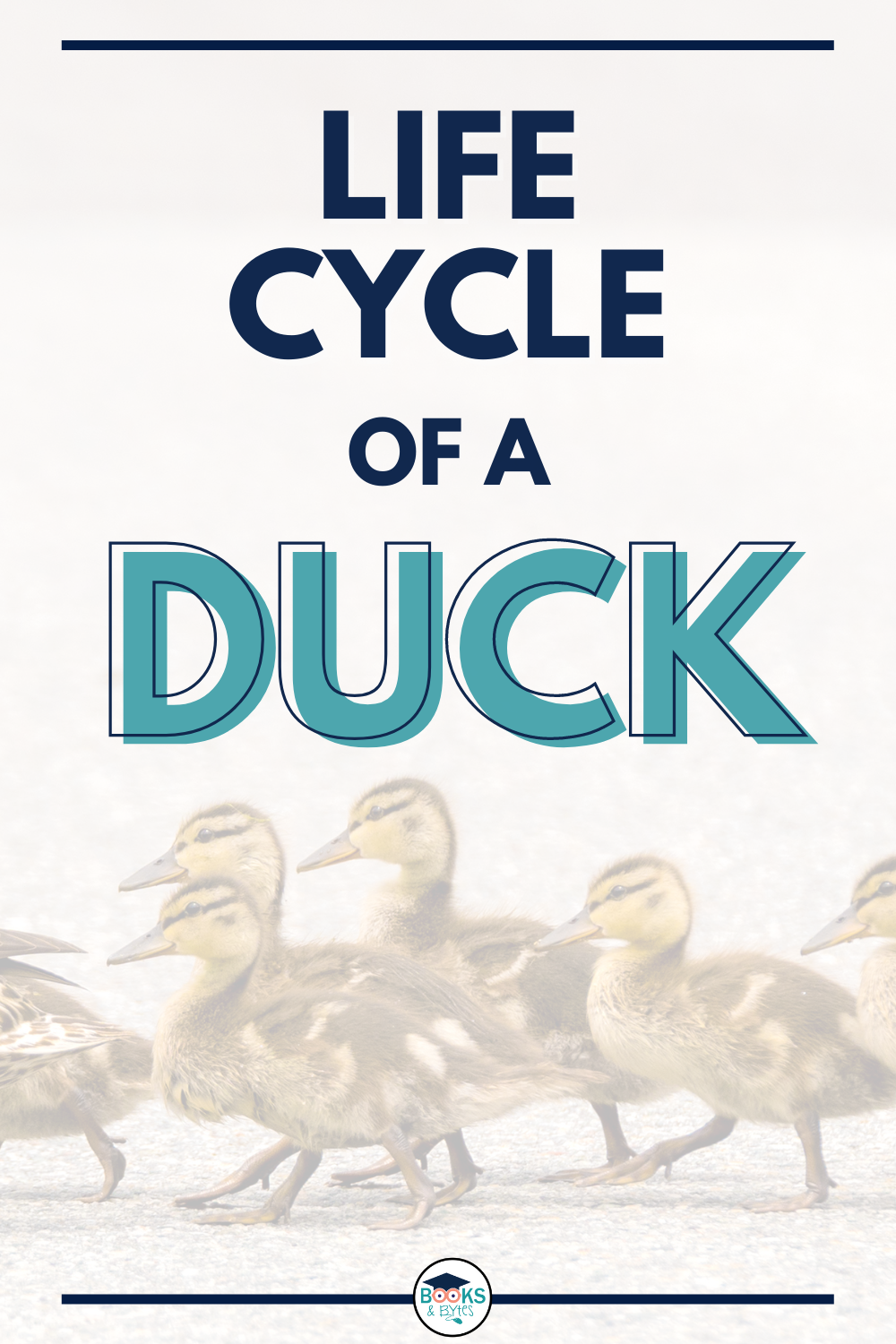 Duck Life - AVAILABLE NOW! The ducks have made their