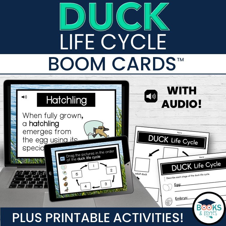 Duck life cycle book recommendations and lesson ideas. — Books