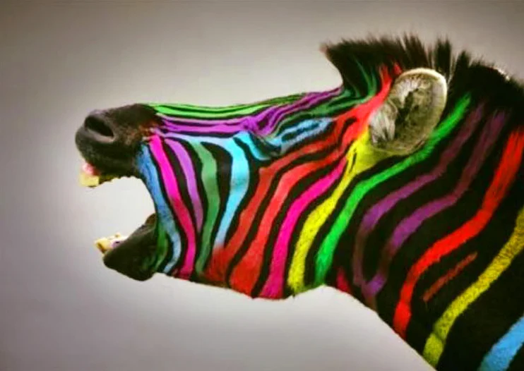 Västafrikansk dans för barn 6 - 9 år