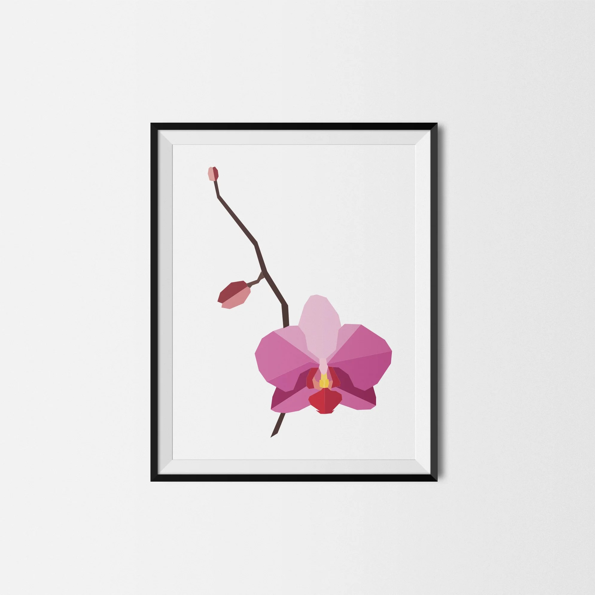 Orchid.jpg