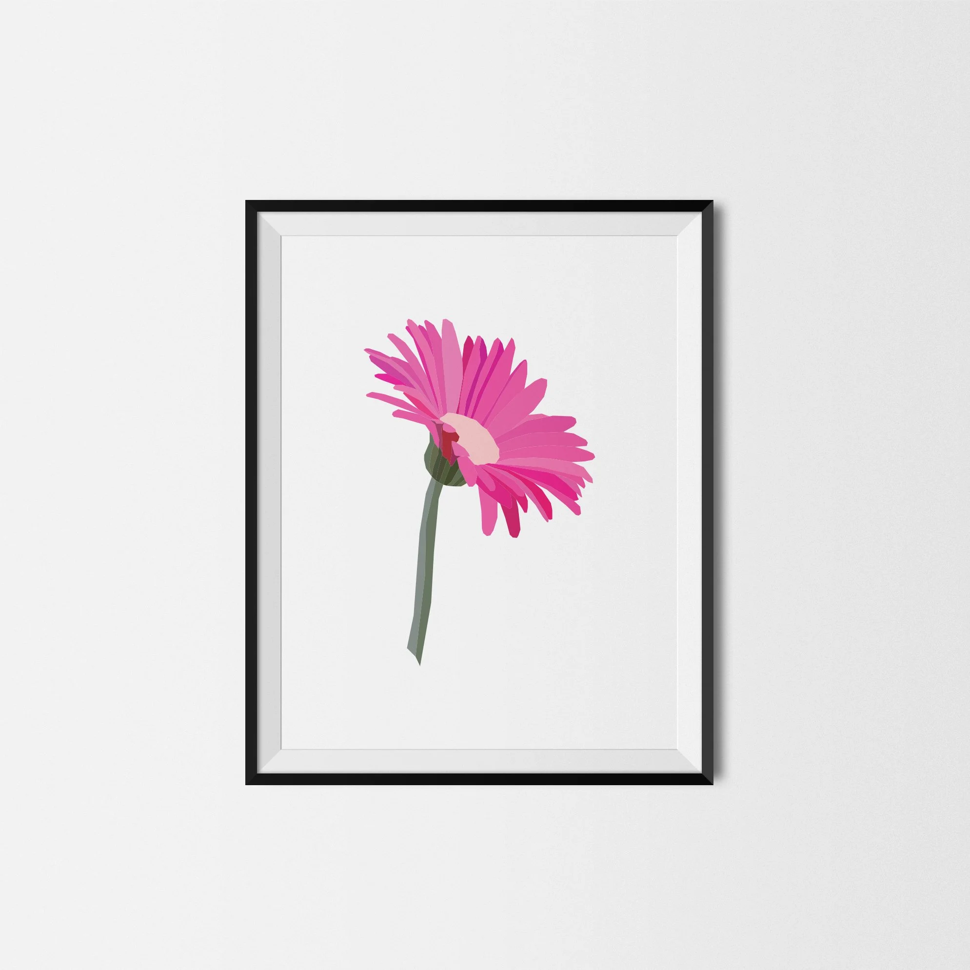 Gerber_Daisy.jpg