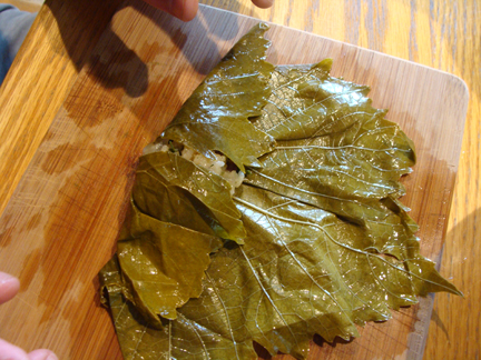 Grape Leaves 4.jpg