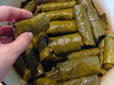 Grape Leaves 7.jpg