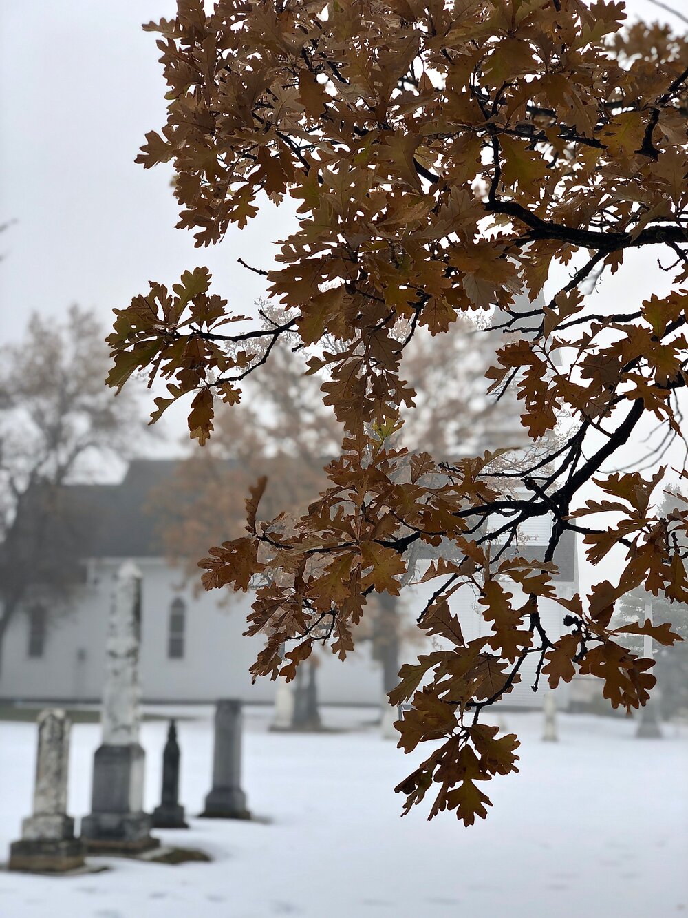 Vikur, the oldest Icelandic church in North America in Mountain, North Dakota.
