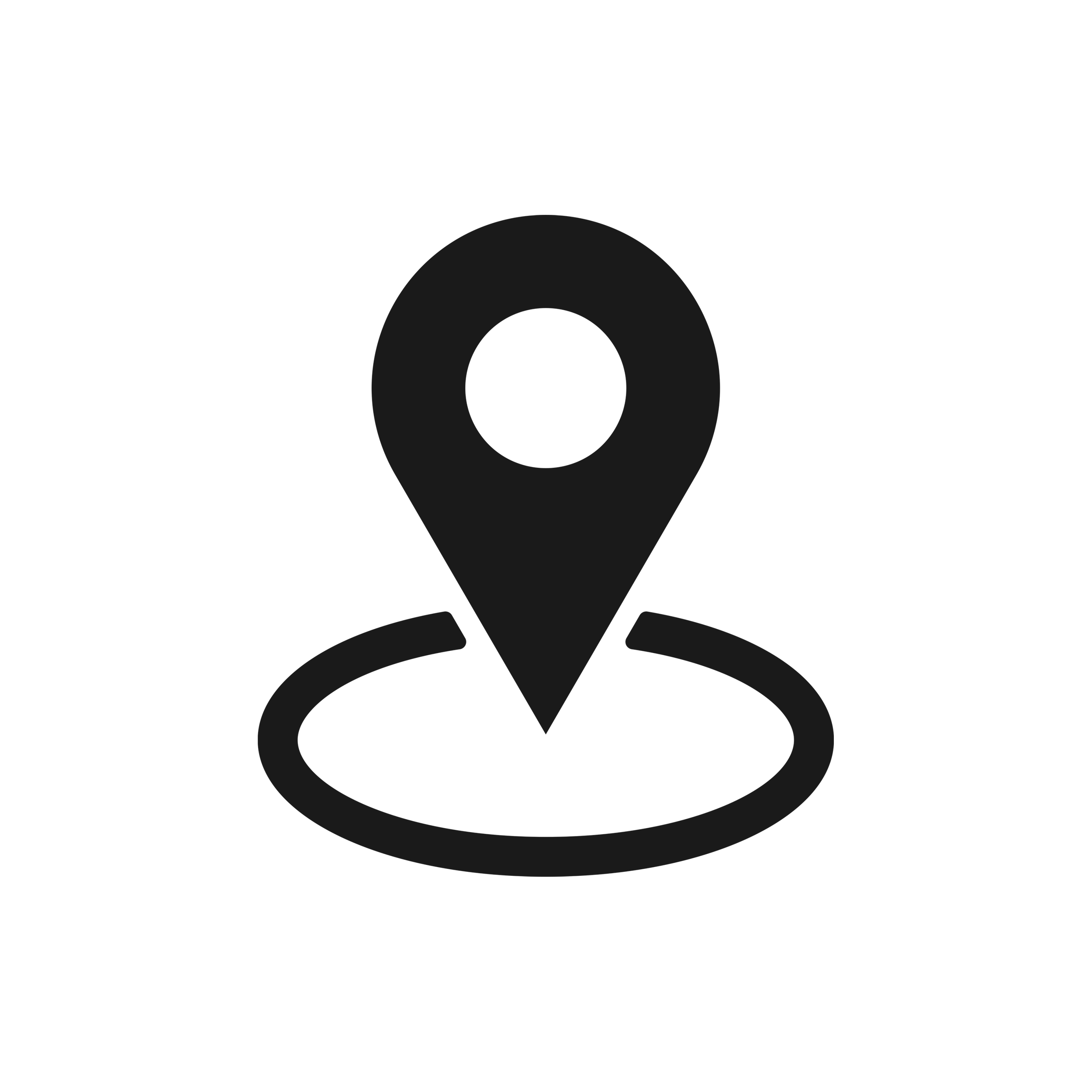 Location Icon