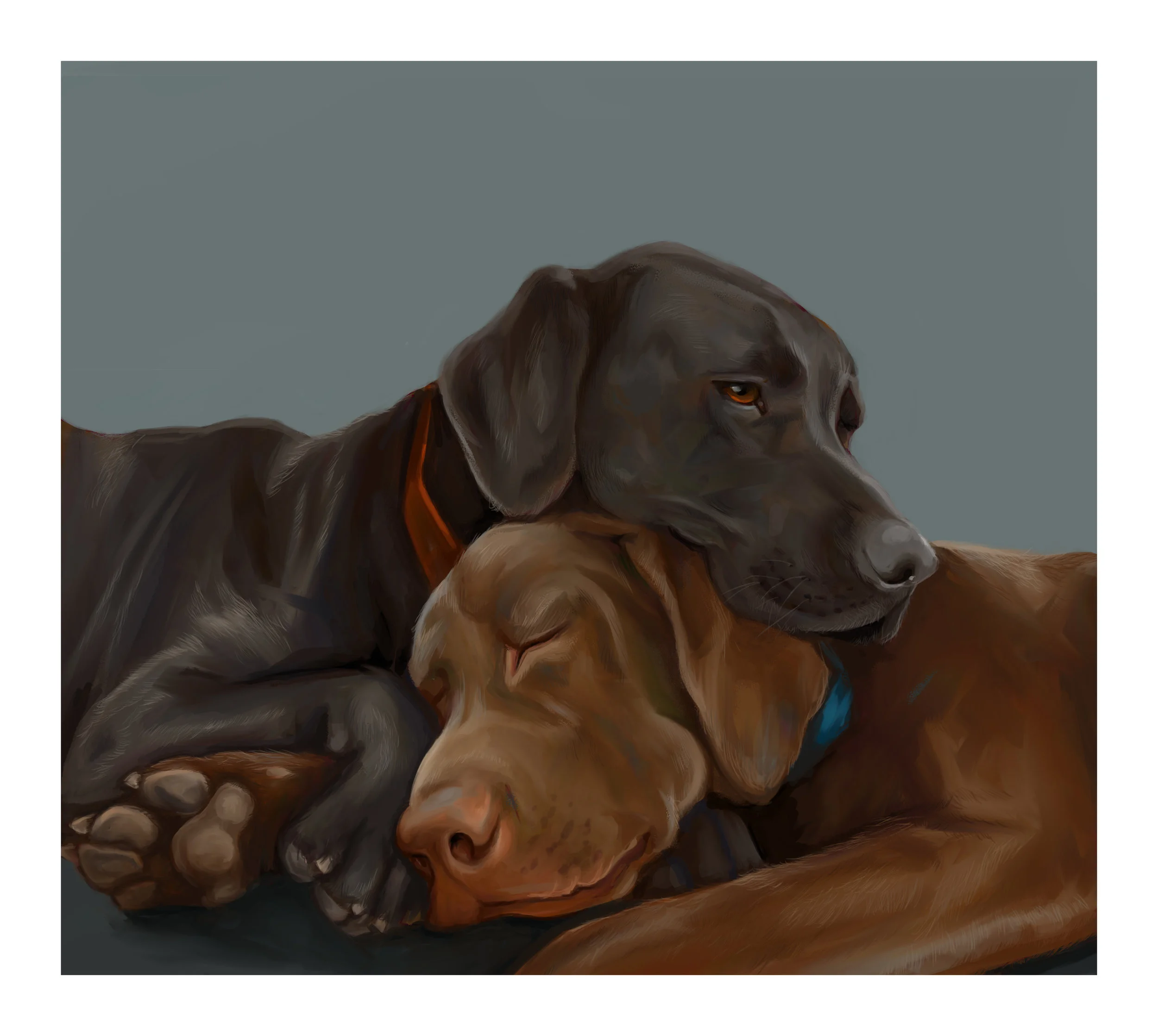   Commission   Medium: Digital  Size: 14” x 11” 