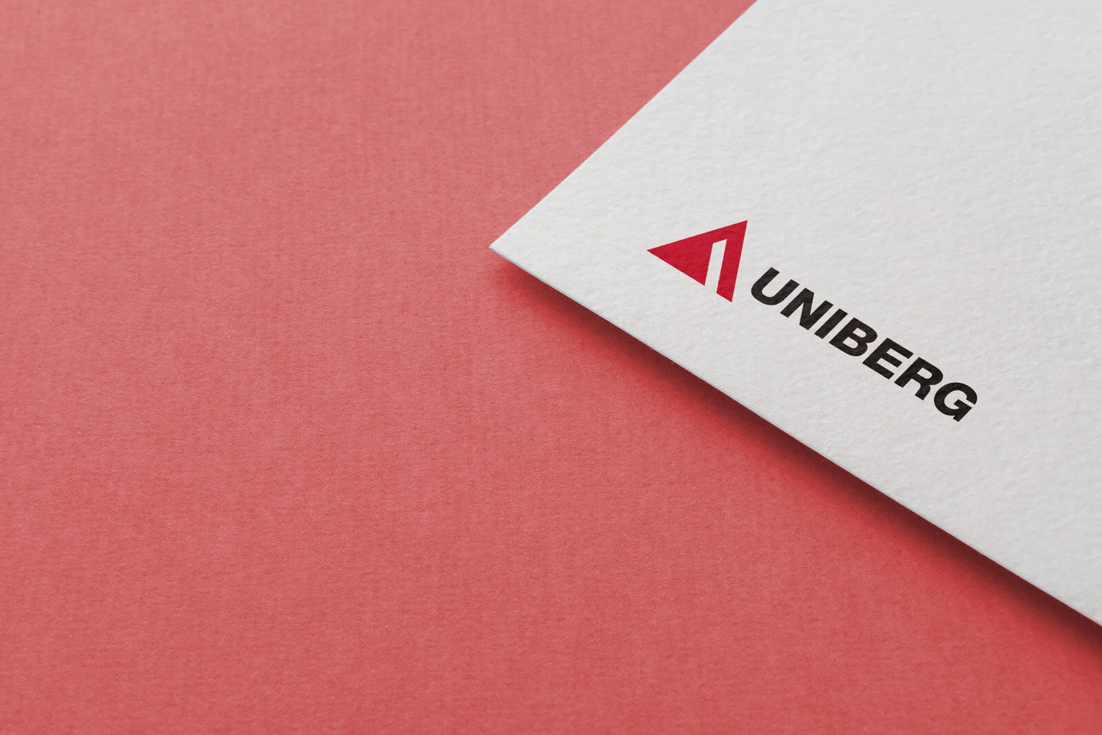Copy of UNIBERG