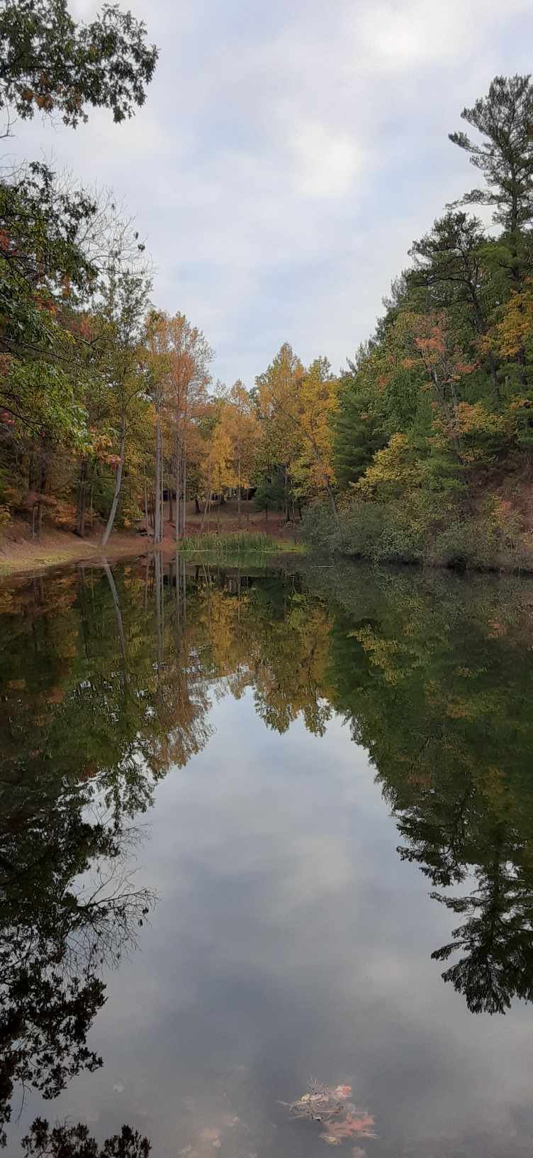 Fall 2023 lower pond.jpg
