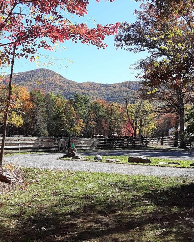 Fall 2023 view of kennedys peak and pasture.jpg