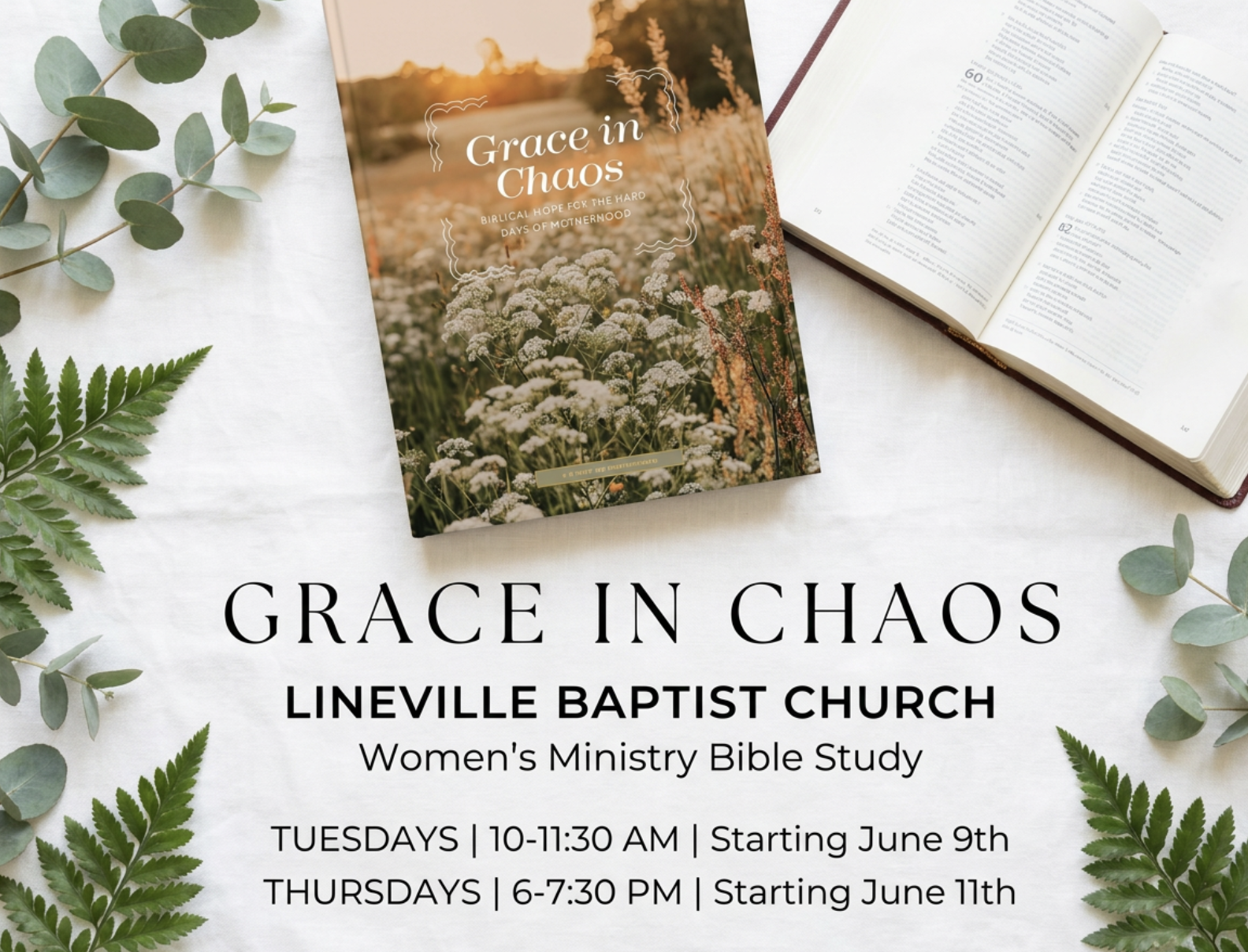 Women's Bible Study