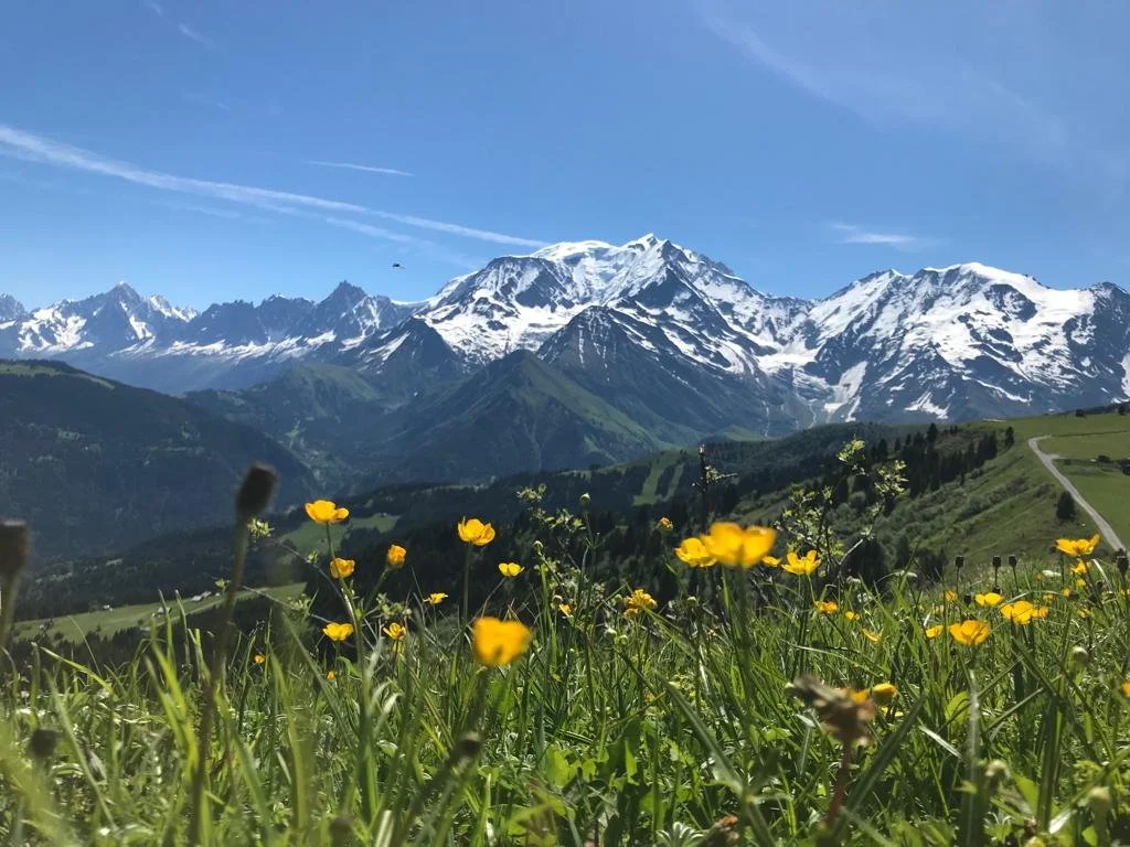 Mont Blanc from Mont D'Arbois.jpg