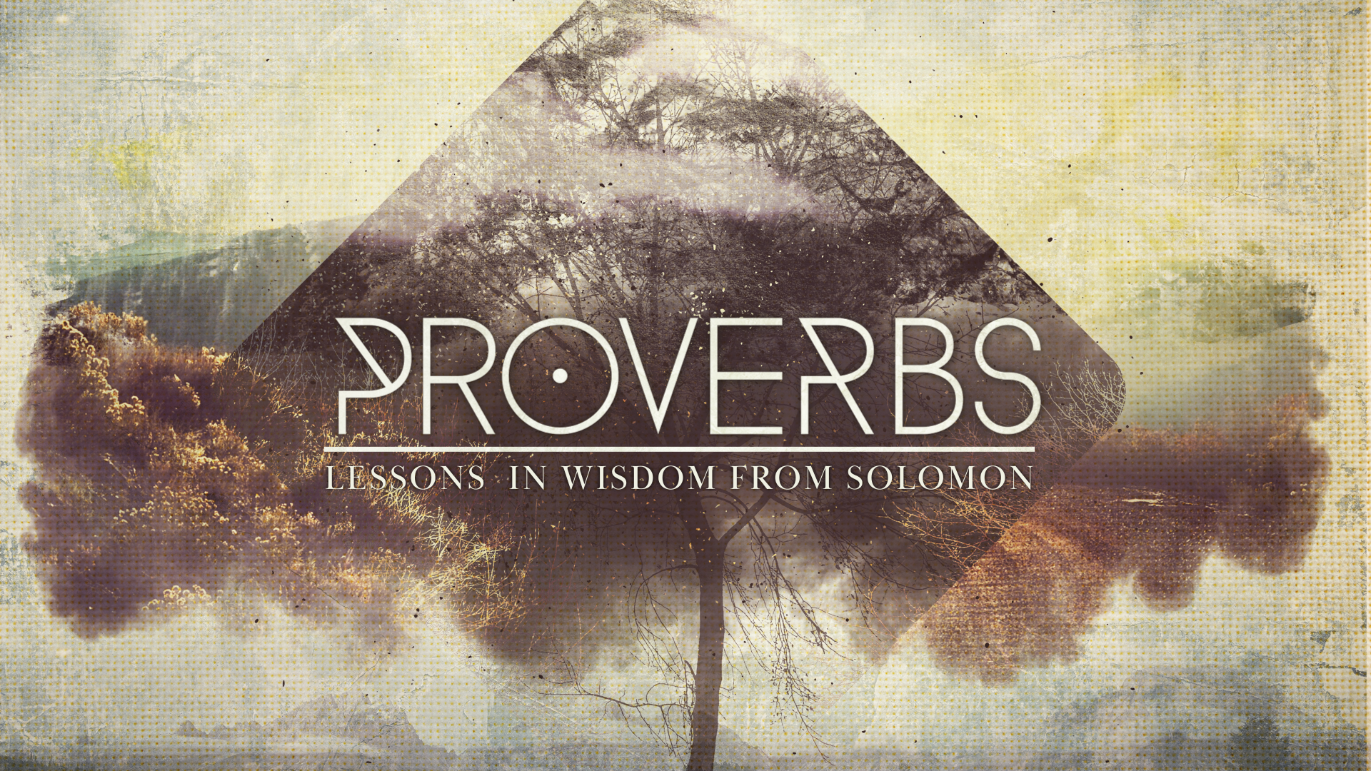 Proverbs: Lessons In Wisdom From Solomon
