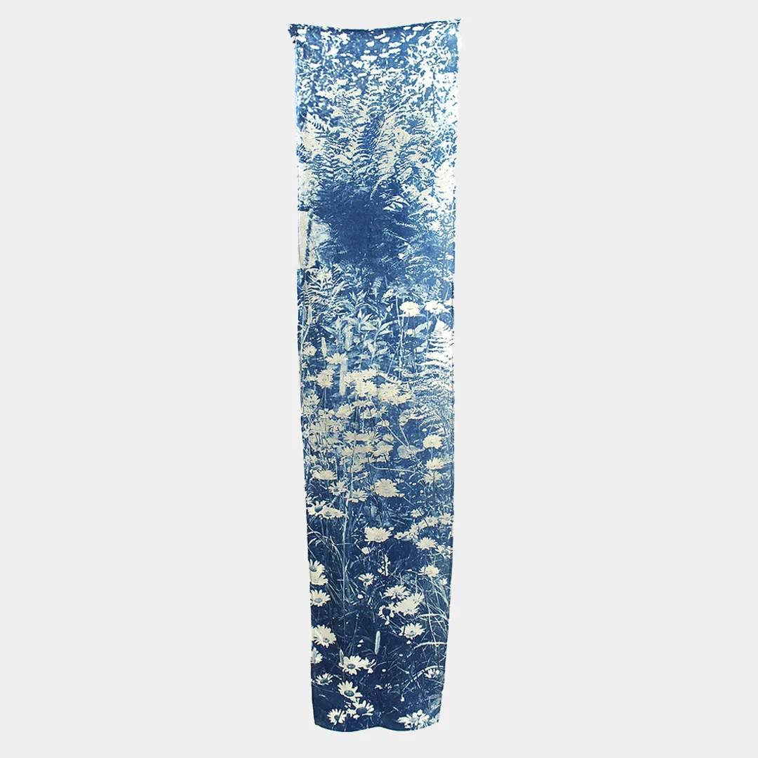 daisies_b_grey.jpg