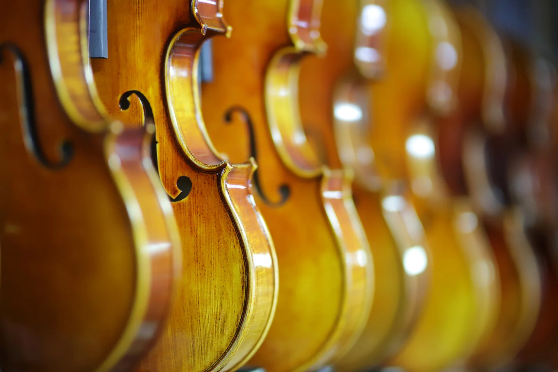 hanging violins.jpg