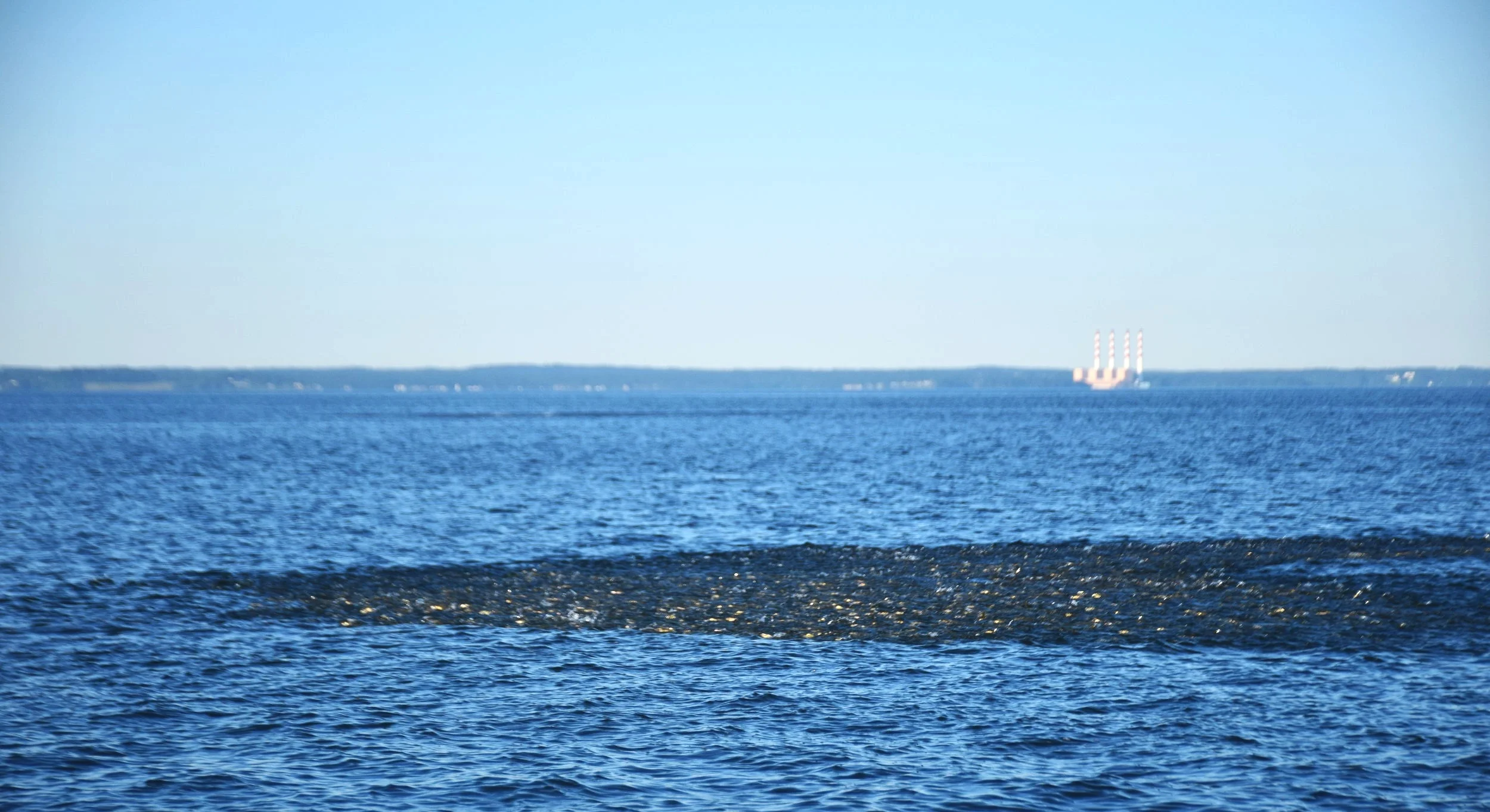 DSC_0070.jpg