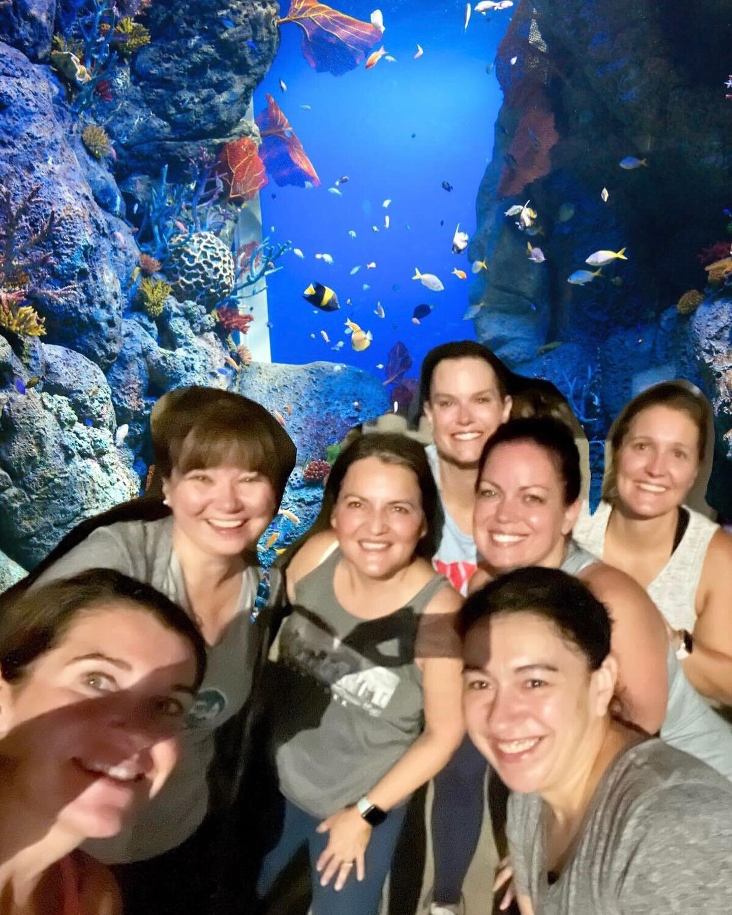 Each day brings new possibilities our way. This morning, eight ladies prepared through stretching, strength and relaxation at The Falls. We welcomed FNG, Coral. 🐠🐡🐟