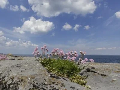 Summer Yoga Retreat at the Burren