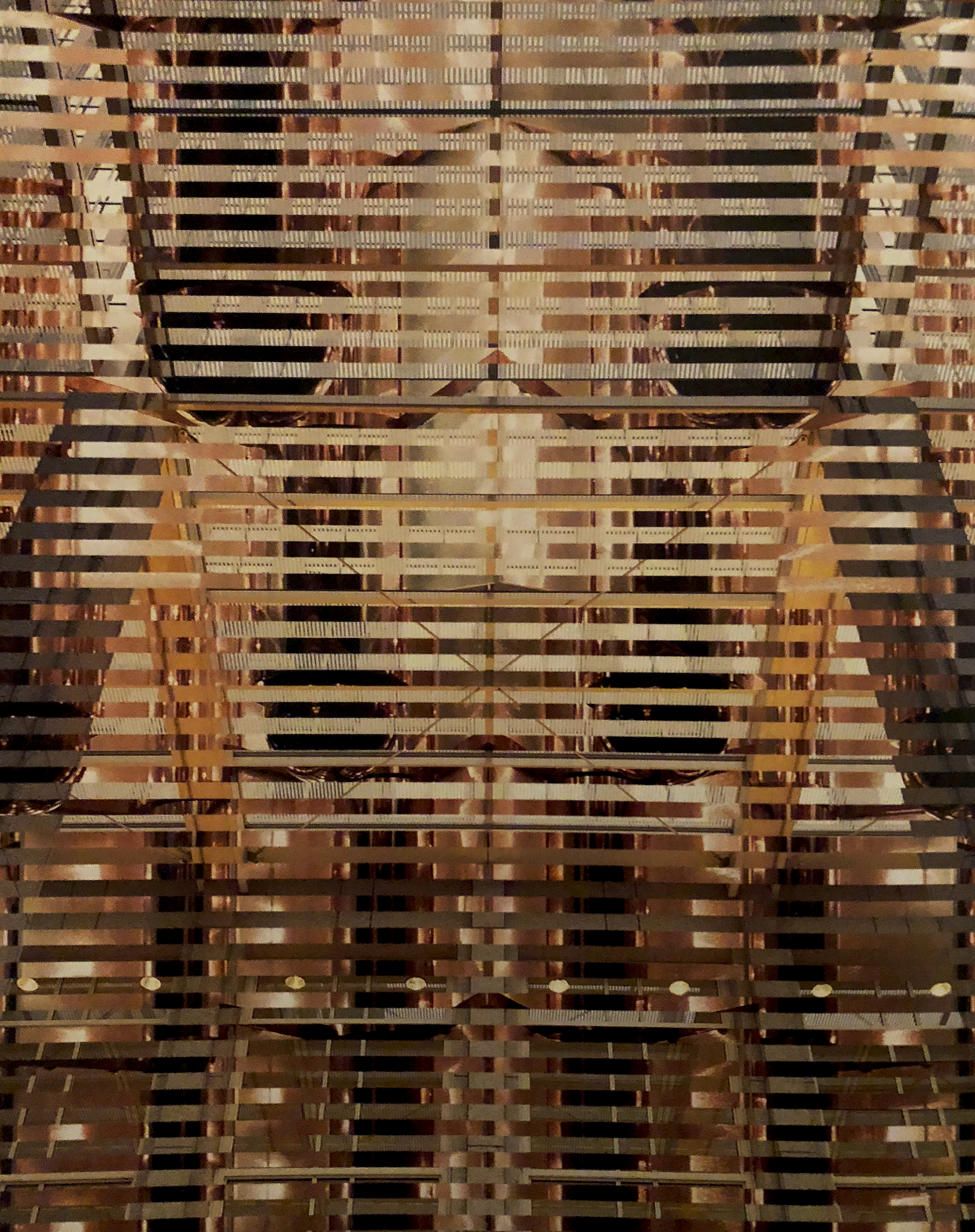 PelliWeave-1.jpg