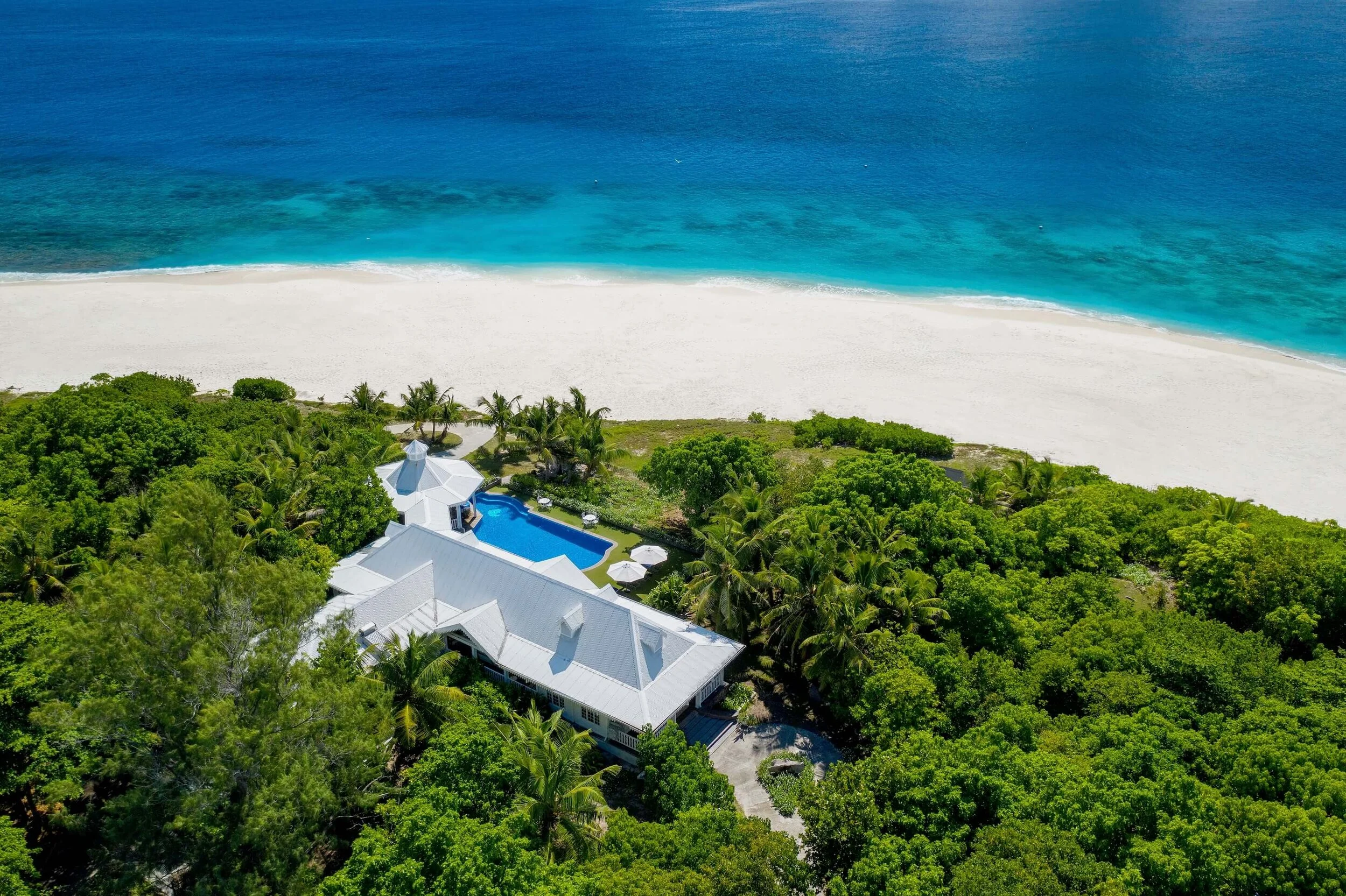 احتضان موسم الزمرد: جمال شهر يناير الاستوائي