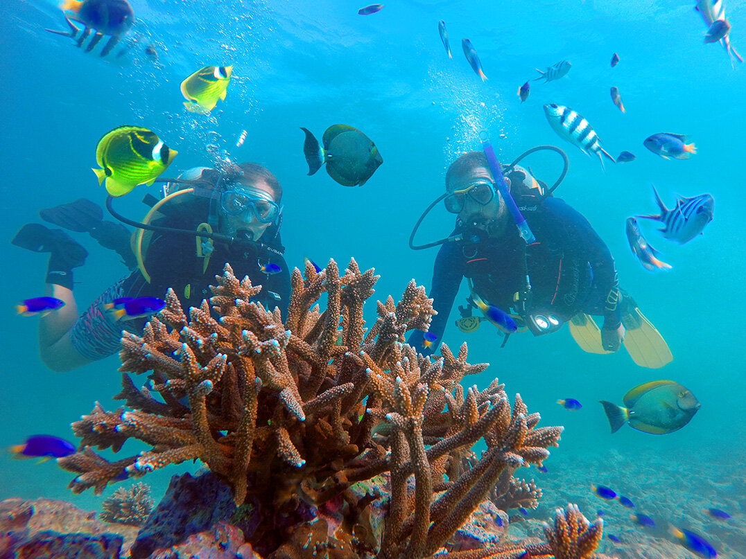 स्कूबा डाइविंग चचेरे भाई द्वीप के आसपास प्रवाल भित्तियों