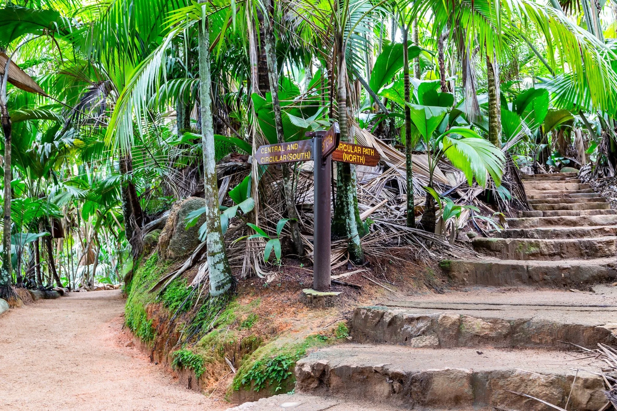 Visit Vallée de Mai, a UNESCO World Heritage site on Praslin, Seychelles on a day trip from Cousine Island