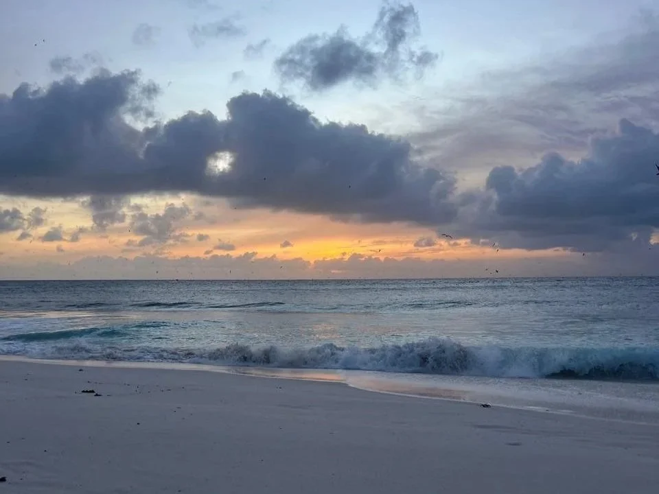 Jours pluvieux, jeux douillets : l'art de créer des liens familiaux pendant les fêtes de fin d'année 🎄