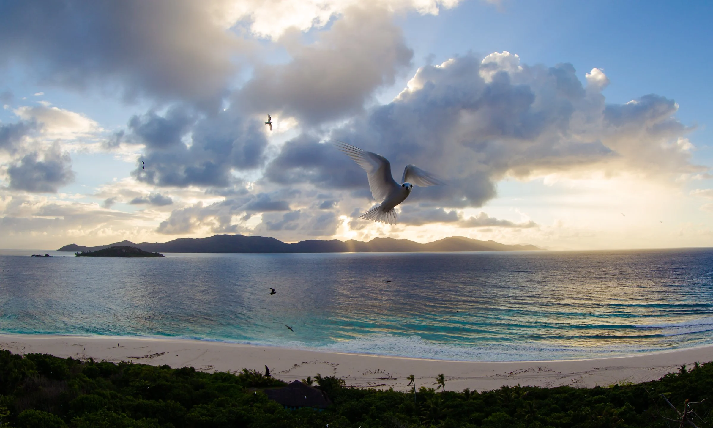 Stewards of the Indian Ocean: How Cousine Island Honours World Oceans Day—Every Day