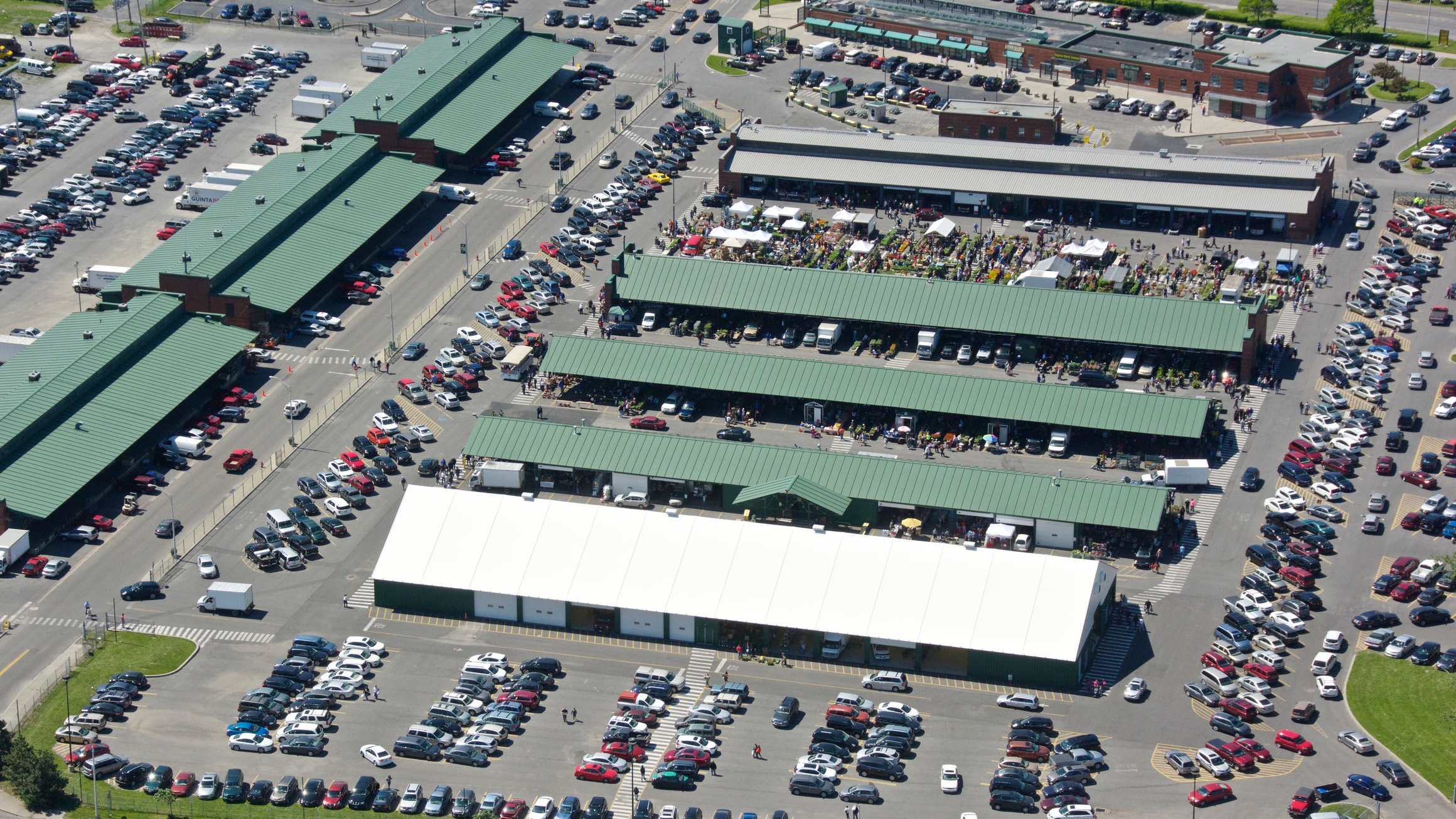 Food Sense — Syracuse Northeast Community Center, image size:2320x1305